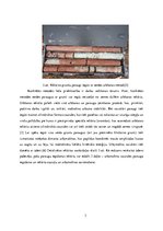 Paraugs '1. un 2. laboratorijas darbs ģeotehnikā. Grunts urbšana ar rokas urbi un dinamis', 3.