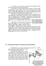 Eseja 'Biomehānika', 3.