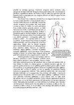 Eseja 'Biomehānika', 4.