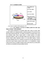 Referāts 'Socioloģisks pētījums - brīvā laika pavadīšanu ietekmējošie faktori Jelgavas pil', 35.