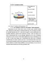 Referāts 'Socioloģisks pētījums - brīvā laika pavadīšanu ietekmējošie faktori Jelgavas pil', 46.