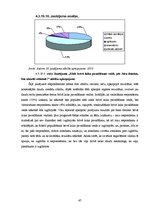 Referāts 'Socioloģisks pētījums - brīvā laika pavadīšanu ietekmējošie faktori Jelgavas pil', 47.