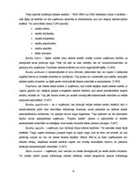 Diplomdarbs 'Elektroniskās komercijas attīstība un iespējas Baltijas valstīs', 18.