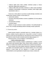 Diplomdarbs 'Elektroniskās komercijas attīstība un iespējas Baltijas valstīs', 22.