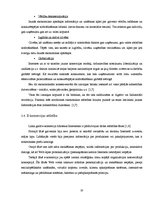 Diplomdarbs 'Elektroniskās komercijas attīstība un iespējas Baltijas valstīs', 23.