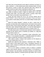 Diplomdarbs 'Elektroniskās komercijas attīstība un iespējas Baltijas valstīs', 26.