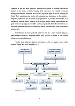 Referāts 'Mūsdienīgs datorgrafiķa dators - iespējas un risinājumi', 6.