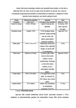Referāts 'Mūsdienīgs datorgrafiķa dators - iespējas un risinājumi', 12.