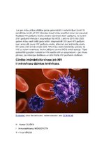 Konspekts 'Vīrusi', 4.