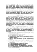 Referāts 'Uzņēmējdarbības vide', 19.