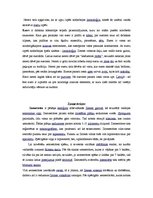 Konspekts 'Dabas muzejs', 5.