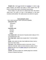 Konspekts 'Dabas muzejs', 8.