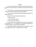 Prakses atskaite 'Prakses pārskats SIA "Sarmīši"', 3.