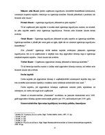 Prakses atskaite 'Prakses pārskats SIA "Sarmīši"', 35.