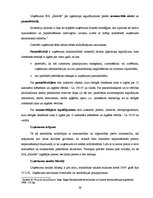 Prakses atskaite 'Prakses pārskats SIA "Sarmīši"', 36.