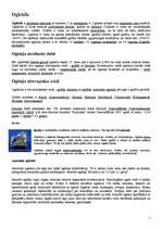 Konspekts 'Ogleklis', 1.