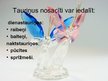 Prezentācija 'Tauriņi', 4.