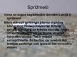 Prezentācija 'Tauriņi', 7.