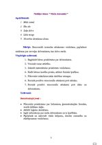 Prakses atskaite 'Integrētais eksāmens', 3.