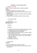 Prakses atskaite 'Integrētais eksāmens', 28.