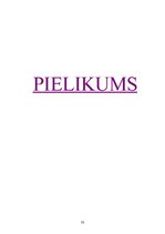 Prakses atskaite 'Integrētais eksāmens', 33.