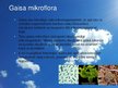 Prezentācija 'Mikroorganismi apkārtējā vidē', 3.