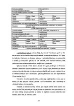 Diplomdarbs 'Nekustamo īpašumu tirgus vērtības noteikšana ar salīdzināmo darījumu metodi', 36.