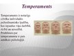 Prezentācija 'Temperaments', 2.