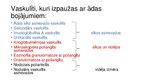 Prezentācija 'Ādas vaskulīti', 8.