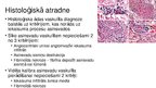 Prezentācija 'Ādas vaskulīti', 12.