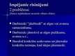Prezentācija 'Redakcijas darba problēmsituācijas iespējamie risinājumi', 5.