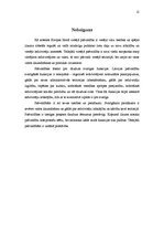 Referāts 'Pašvaldību loma, vieta un patstāvīgas funkcijas valsts pārvaldes īstenošanā', 12.
