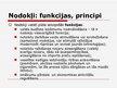 Prezentācija 'Fiskālā politika', 11.