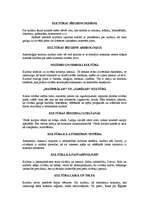 Konspekts 'Kūltūrvēstures jēdziens ikdienā', 2.