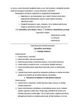 Prakses atskaite 'Prakses atskaite lietvedībā', 17.