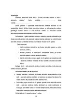 Referāts 'Fizisko aktivitāšu ietekme uz sirds un asinsvadu sistēmu', 19.