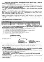 Konspekts 'Kopsavilkums ekonomikā', 5.