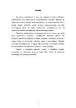 Referāts 'Porcelāna un fajansa ražošana', 3.