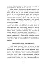 Referāts 'Porcelāna un fajansa ražošana', 9.