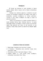 Referāts 'Porcelāna un fajansa ražošana', 13.