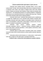 Referāts 'Salīdzinošā jurisprudence', 2.