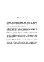 Konspekts 'Rīgas mikrorajona "Mežaparks" apbūves plānojuma formas un funkcionālais zonējums', 4.