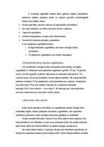 Referāts 'Depozitārijs', 7.