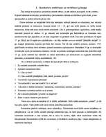 Referāts '2005.gada Latvijas politisko norišu attēlojums karikatūrās ', 7.