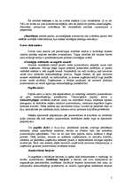 Konspekts 'Stratēģiju novērtēšana un to izvēle', 2.