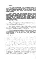 Konspekts 'Stratēģiju novērtēšana un to izvēle', 4.