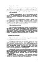 Konspekts 'Stratēģiju novērtēšana un to izvēle', 5.