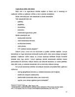 Prakses atskaite 'Sabiedrība ar ierobežoto atbildību “EUROWOOD”', 13.