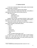 Prakses atskaite 'Sabiedrība ar ierobežoto atbildību “EUROWOOD”', 15.