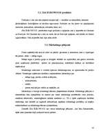 Prakses atskaite 'Sabiedrība ar ierobežoto atbildību “EUROWOOD”', 20.